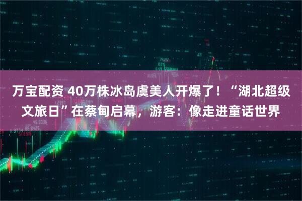 万宝配资 40万株冰岛虞美人开爆了!“湖北超级文旅日”在蔡甸启幕,游客:像走进童话世界