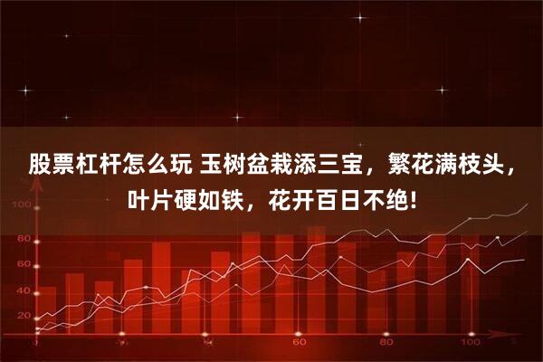 股票杠杆怎么玩 玉树盆栽添三宝，繁花满枝头，叶片硬如铁，花开百日不绝!