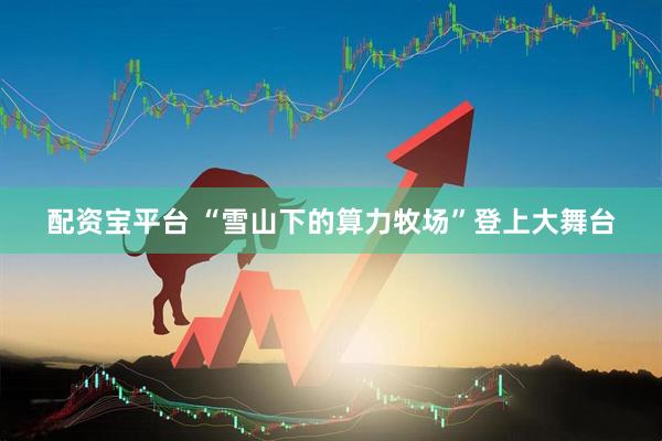配资宝平台 “雪山下的算力牧场”登上大舞台