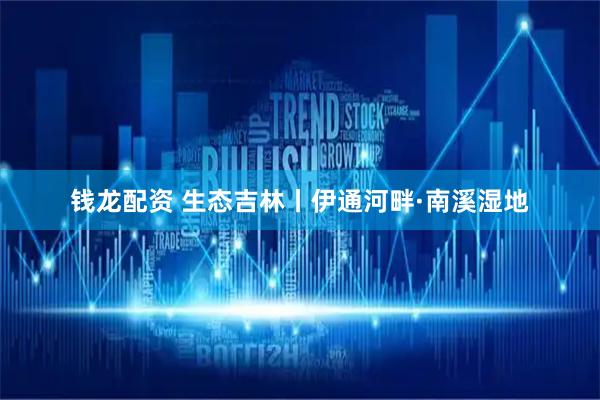 钱龙配资 生态吉林丨伊通河畔·南溪湿地